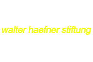 Sponsor 1